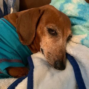 Meet your Posher, Harriett